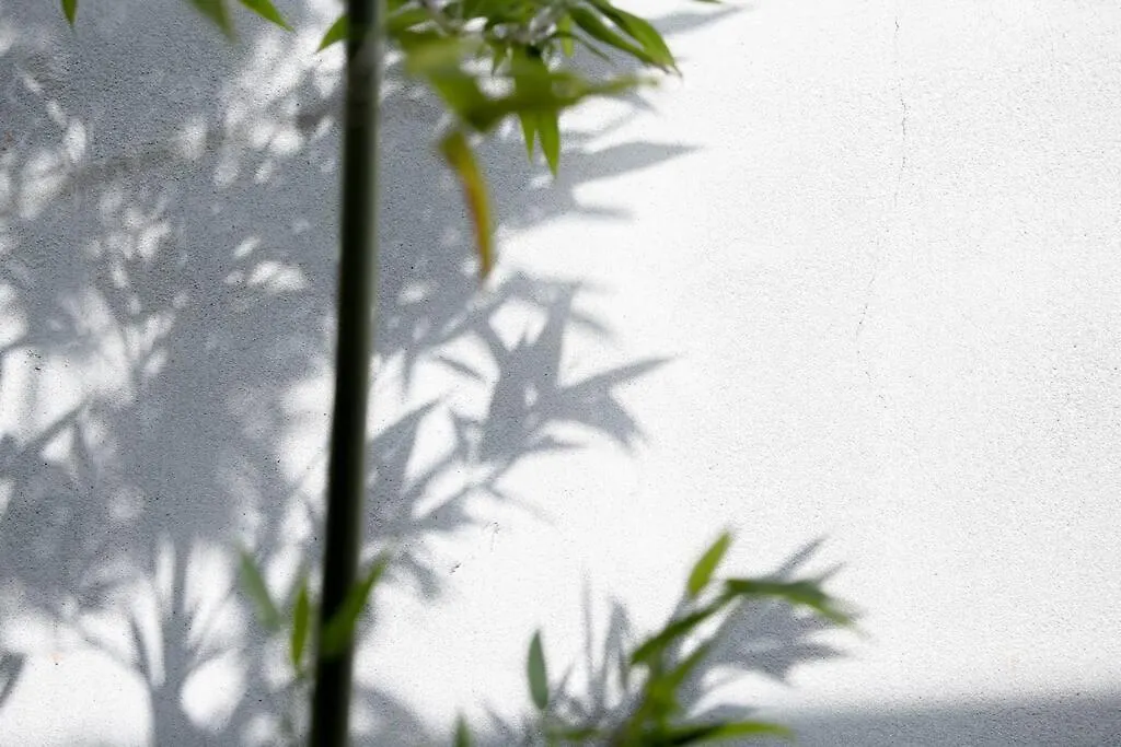 Holiday home 雲川居 Unsenkyou Kyoto